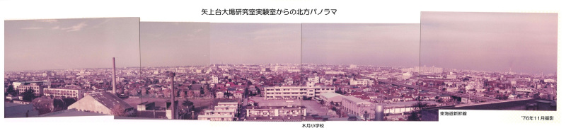 Oba-Memory-25